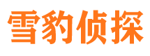 长春外遇出轨调查取证